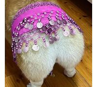 Jupe de danseuse du ventre pour chien avec paillettes qui secouent les hanches, tenue pour chiot de petite et moyenne taille, rideau de fesses corgi avec chaîne de taille, vêtements pour les vacances