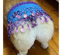Jupe de danseuse du ventre pour chien avec paillettes qui secouent les hanches, tenue pour chiot de petite et moyenne taille, rideau de fesses corgi avec chaîne de taille pour les vacances, 105 cm
