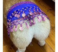 Jupe de danseuse du ventre pour chien avec paillettes qui secouent les hanches, tenue pour chiot de petite et moyenne taille, rideau de fesses corgi avec chaîne de taille, vêtements pour les vacances