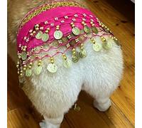 Jupe de danseuse du ventre pour chien avec paillettes qui secouent les hanches, tenue pour chiot de petite et moyenne taille, rideau de fesses corgi avec chaîne de taille, vêtements pour les vacances