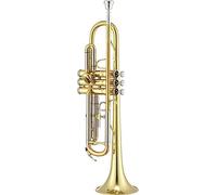 Jupiter Trompette étudiante JTR700