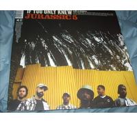 Jurassic 5 - Hey/If You [Vinyl Maxi-Single]