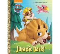 Jurassic Bark PAW Patrol by Hollis James & Illustrated by Fabrizio Petrossi Hollis James Illustrated by Fabrizio Petrossi (Auteur)