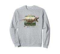 Jurassic Parc Merch Comment survivre à Une Rencontre avec Le T-Rex Sweatshirt