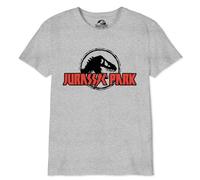 Jurassic Park Cotton Division Officiel Logo imprimé T-Shirt pour garçons - Col Rond Manches Courtes Coton Doux Confortable Mode Active pour Enfants,Lightening Logo_Gris chiné_1,10 Ans