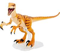 Jurassic World Amber Collection Tiger Velociraptor Figurine de dinosaure de 15,2 cm, détails authentiques, articulations mobiles et support de figurine, cadeau de collection à partir de 8 ans