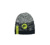 Jurassic World Bonnet pour enfant | Bonnet | Petits cadeaux pour garçons | Bonnet d'hiver | Bonnet tricoté | Bonnet | Bonnet | Dinosaure | Dinosaure, gris, 54