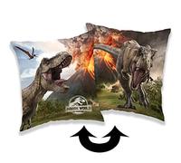 Jurassic World Coussin décoratif pour enfant 40 x 40 cm