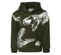 Jurassic World Dinosaur T-Rex Big Boys Fleece Pullover Hoodie Green 14-16