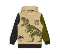 Jurassic World Sweat à capuche pour garçon motif dinosaure officiel T-Rex, 100 % coton, vêtements pour enfants de 4 à 5 à 9 à 10 ans, kaki, 9-10 ans