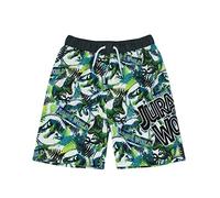 Jurassic World Swim Shorts T Rex Dinosaur Boys Elastic Wilking Swimmink Trunks 8-9 Ans