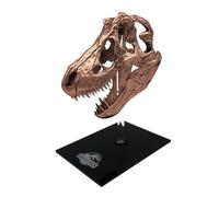 JurassicParkrépliqueminiT-RexSkull10cm