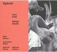 Jure Pukl & Matija Dedic - Hybrid