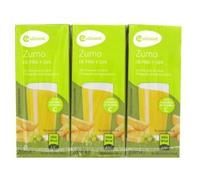 Jus Ananas & Raisin COALIMENT - Pack de 3 (6 x 20 cl par pack) - Boisson aux fruits rafraîchissante