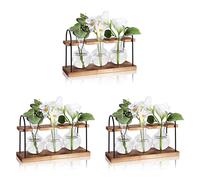 Jushenpoer 3X Station de Propagation de Plantes avec Support en Bois, Stations de Propagation de Bureau de Terrarium de Plantes, Vase en Verre D'Ampoule de Planteur d'air