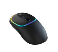 JUSHZ Souris sans Fil Ergonomique Gamer Bluetooth Silencieuse Gaming Photoélectrique Rechargeable De Type C 2,4 GHz Rouleau à Quatre Voies Effet De Lumière De Cycle Coloré (112x67x34mm,Black)