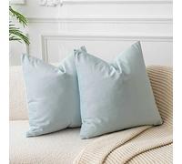 JUSPURBET Housses de Coussin en Velours Bleu Poudré 40x40 cm Lot de 2 pour Salon Canapé Chambre Carrées Solides Douces avec Zip Invisible