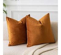 JUSPURBET Housses de Coussin en Velours Rouille 65x65 cm Lot de 2 pour Salon Canapé Chambre Carrées Solides Douces avec Zip Invisible