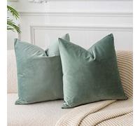 JUSPURBET Housses de Coussin en Velours Sauge 40x40 cm Lot de 2 pour Salon Canapé Chambre Carrées Solides Douces avec Zip Invisible