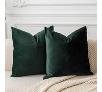 JUSPURBET Housses de Coussin en Velours Vert Militaire 40x40 cm Lot de 2 pour Salon Canapé Chambre Carrées Solides Douces avec Zip Invisible