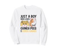 Just A Boy Who Loves Guinea Pigs and Video Games Sweatshirt