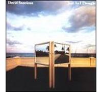 Just As I Thought by David Sancious