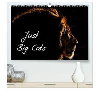 Just Big Cats (High Quality Premium Wall Calendar 2027 DIN A2 landscape),CALVENDO 12 Month Wall Calendar: Magnificent Felines from Around the World