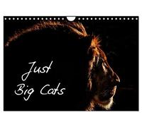 Just Big Cats (Wall Calendar 2026 DIN A4 landscape), CALVENDO 12 Month Wall Calendar: Magnificent Felines from Around the World