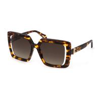 Just Cavalli Femme SJC027 829 Lunettes de soleil Acétate Havane Marron Carré Normale Ombré