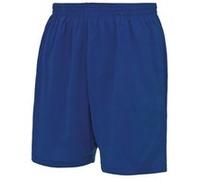 Just Cool - Short de sport - Homme (2XL) (Bleu roi) - UTRW693 Bleu Roi, Bleu roi