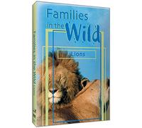 Just Facts: Families in The Wild-Lions