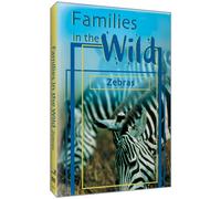 Just Facts: Families in The Wild-Zebras