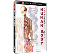 Just Facts: The Human Body-Musculoskeletal