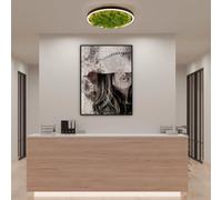 Just Light Green Ritus Plafonnier, LED, 15391-66,