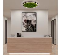 Just Light Green Ritus Plafonnier, LED, 15392-66,