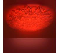 Just Light Lola Smart Naomi plafonnier intelligent 1x51.8 W blanc 14281-16