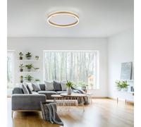 Just Light Ritus Plafonnier LED, 15391-60,