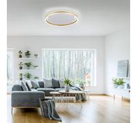 Just Light Ritus Plafonnier LED, 15392-60,