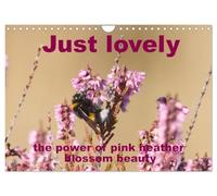Just lovely - the power of pink heather blossom beauty (Wall Calendar 2026 DIN A4 landscape), CALVENDO 12 Month Wall Calendar: A sea of blossoms in ... many busy creatures and curious visitors.