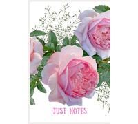 JUST NOTES: For the Woman Who Loves to Write