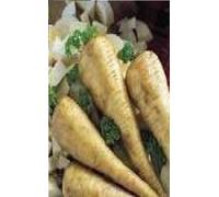 Just Seed Vegtable Heritage panais Demi Long de Guernesey 200 Seed Economy Lot