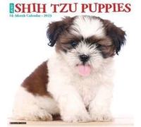 Just Shih Tzu Puppies 2023 Wall Calendar by Willow Creek Press Willow Creek Press (Auteur)