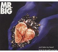 Just Take My Heart [Import]