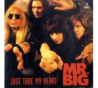 Just Take My Heart/to Be with You