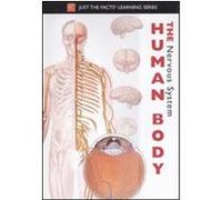 The Human Body: Nervous System