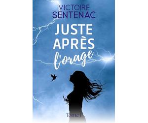 Juste après l'orage: Une magnifique histoire de résilience