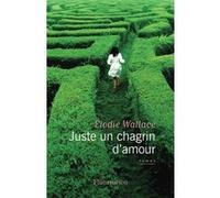 Juste Un Chagrin D'amour