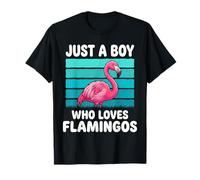 Juste Un garçon Qui Aime Les Flamants Roses Amant drôle de T-Shirt