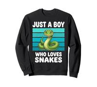 Juste Un garçon Qui Aime Les Serpents Amant drôle de Sweatshirt