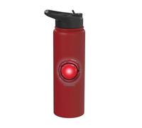 Justice League Movie Cyborg Logo Stainless Steel Insulated Water Bottle